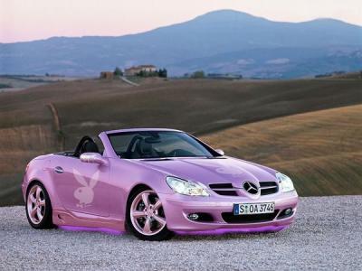 Autos GB Pics - Gästebuch Bilder - PlayboyAuto-Mercedes-Cabrio.jpg