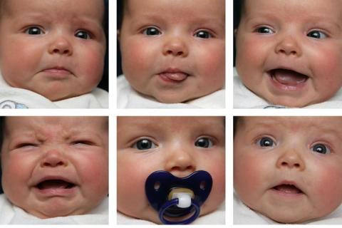 Babies GB Pics - Gästebuch Bilder - baby_gesichter.jpg