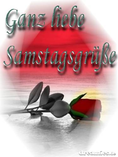 Samstag GB Pics - Gästebuch Bilder - rose-samstag-gruss.jpg