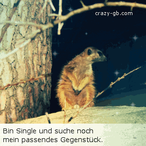 Single GB Pics - Gstebuch Bilder - single-auf-suche.gif