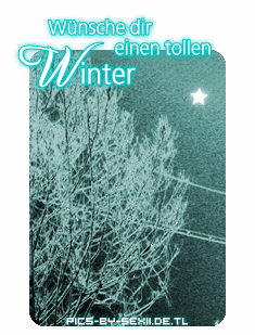 Winter GB Pics - Gästebuch Bilder - wuensche_dir_einen_tollen_winter.gif
