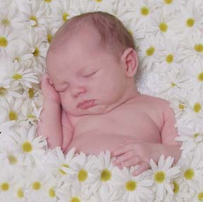 Babies GB Pics - Gstebuch Bilder - baby_in_blumen_gebettet.jpg