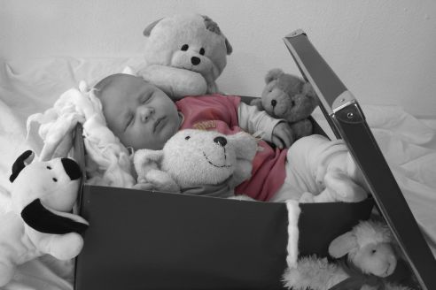 Babies GB Pics - Gstebuch Bilder - baby_mit_seinen_kuscheltieren_und_spielsachen.jpg