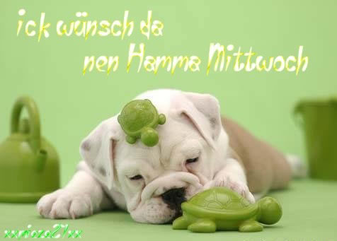Mittwoch GB Pics - Gstebuch Bilder - hamma-mittwoch-hund.jpg