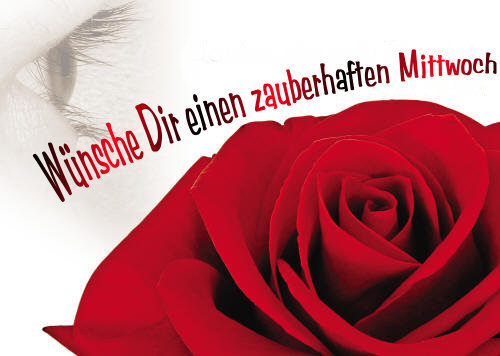 Mittwoch GB Pics - Gstebuch Bilder - zauberhaften-mittwoch-rote-rosenbluete.jpg