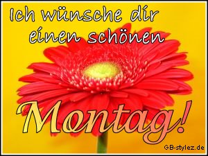 Montag GB Pics - Gstebuch Bilder - 09-montag-blumen.jpg