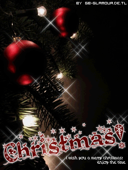 Weihnachten GB Pics - Gstebuch Bilder - christmas_i_wish_you_a_merry_christmas_enjoy_the_time.jpg
