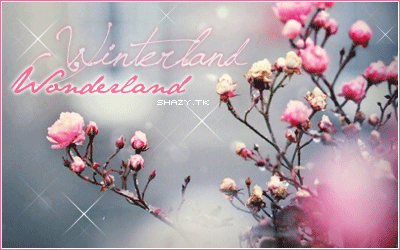 Winter GB Pics - Gstebuch Bilder - winterland_wonderland.gif